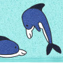 Delfin auf aqua